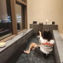 소노펠리체 델피노 이미지