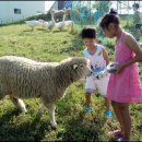 참빛목장 이미지