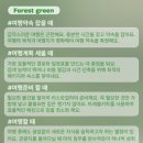 더하우스1932