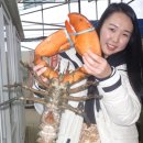 실내바다낚시터 이미지