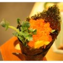 모리참치 이미지