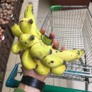 야야 민박 이미지