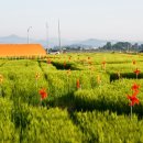 길상면-8 이미지