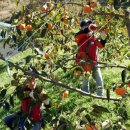 LG이노텍 파주사업장 이미지