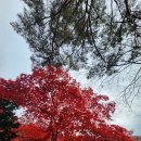 오대산휴게소 이미지