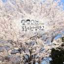 인생학교 봄 Daum카페