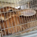 우리집농장 이미지