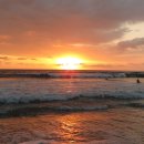 별빛아래 이미지