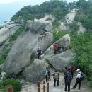 산에사네 이미지