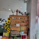J헤어샾 네이버블로그