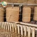 그늘막100 이미지