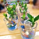 도심초등학교(병설) 이미지