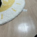 고양이는 인간과 다르게 신피질이 없다