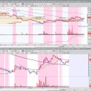 다윈커머스 이미지