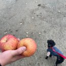 상양농장 이미지