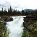 제스퍼(JASPER) 이미지