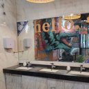 캣블링 | 실내 동물원 테이블에이 앤 로우캣 인천 방문 후기