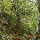 산덕마을 이미지