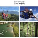 VIP카매니아 | 스위스 피르스트 액티비티 4종 오픈런 할인 팁 대기시간 없이 타는 법 (+ 융프라우VIP 할인방법)