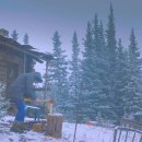 영화랜드 이미지