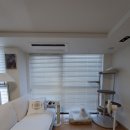 한결우드 | 부산 일광 경보 이리스 오션 덱스터 우드블라인드 설치 후기