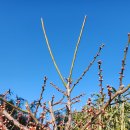 신 왕돌회식당 이미지