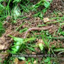 토룡농장 이미지