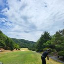 큐이디 골프 이미지