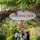 아코디언 | 가득했던 봄 축제! '제5회 풍덕동 장미축제(Love Rose Festa)' 생생 후기사랑스러운 풍덕동 장미축제 ~