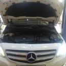 애니카랜드 송강점 이미지