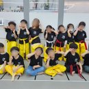 용인대 시선 태권도장 이미지