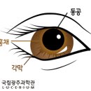 아이데코 안경콘택트 이미지