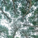 세한자동차정비공장 이미지