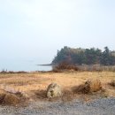 신창손순대국밥 이미지