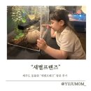 유주농장 | 3살 아이와 함께한 제주도 동물원 "새별프렌즈" 후기