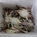 대일수산 이미지