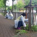 예술대학로 이미지