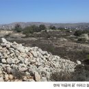 벧엘(Bethel)