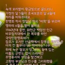 제71주년 현충일과 비목 이미지