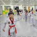 인성태권스쿨 이미지