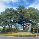 제주도청 이미지