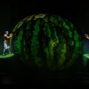 기획공연-뮤지컬 수박수영장 이미지