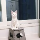 사자옆골 이미지