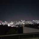 상상진화 이미지