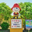 가야정원마켓