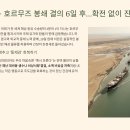 강원특별자치도 보건환경연구원 | 핼시노트 주간 브리핑: 6월 넷째 주 뉴스의 파편 속에서, 나를 지키는 법 (2025년 6월 4주차 )