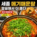 세종 연동면 맛집 황우제매운탕 용댕이와 다른 깔끔한 메기매운탕 후기