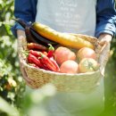 마비상사 이미지