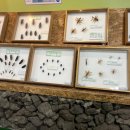 진소농장 이미지