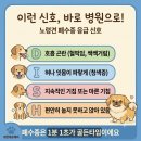 참견펫푸드 네이버블로그